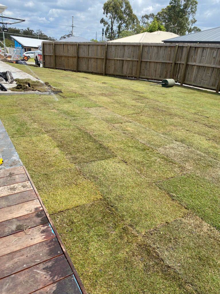 Tree Lopping & Garden Clean-Ups